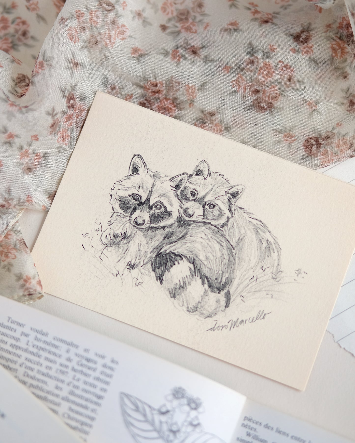 Ratons laveurs – Impression