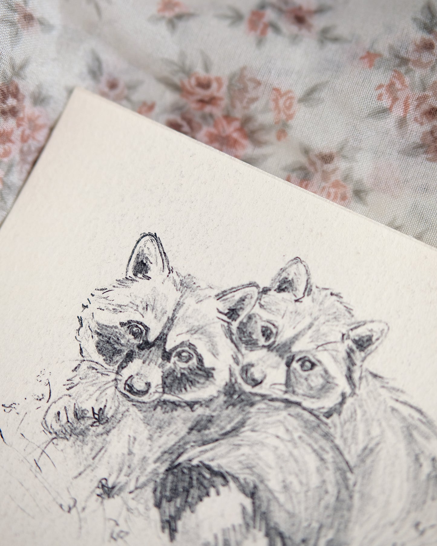 Ratons laveurs – Impression