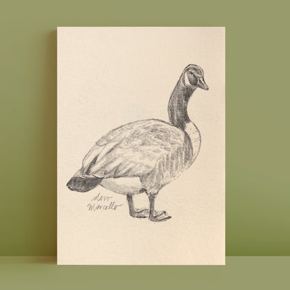 Bernaches du Canada - Impression