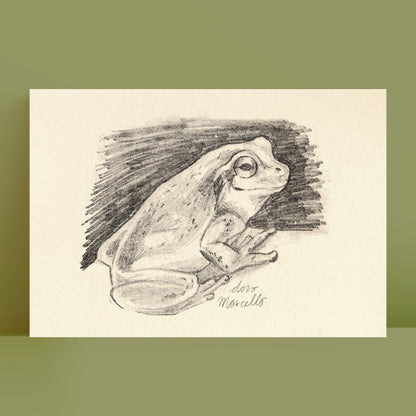 Rainette du Japon - Impression