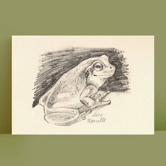 Rainette du Japon - Impression