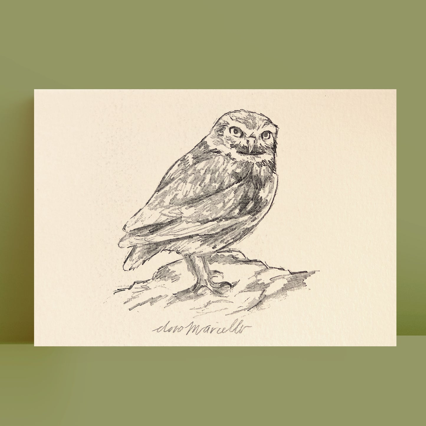 Petite chouette - Impression