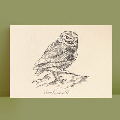 Petite chouette - Impression