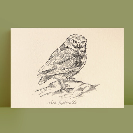 Petite chouette - Impression