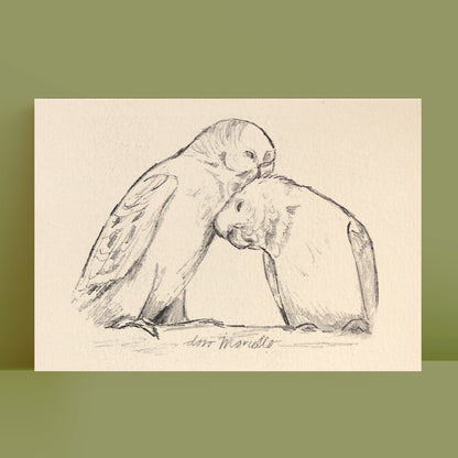 Perruche - Impression