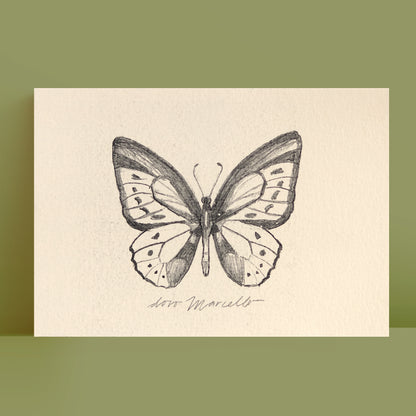 Papillon - Impression