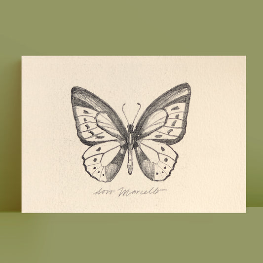 Papillon - Impression