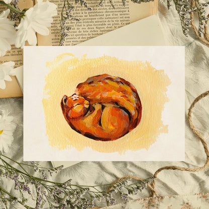 Sleeping Squirrel - Art Print