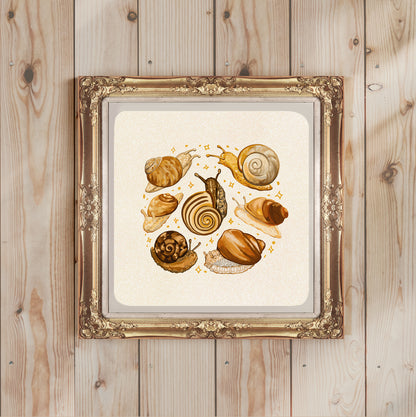 Escargots - Impression d'art