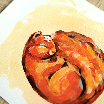 Sleeping Squirrel - Art Print