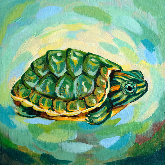 Mini Turtle - Original