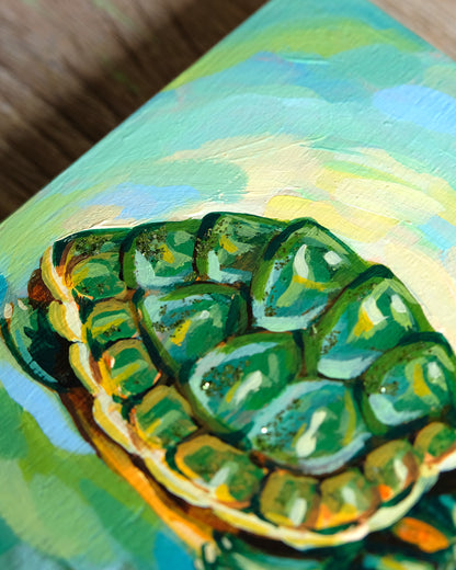 Mini Turtle - Original