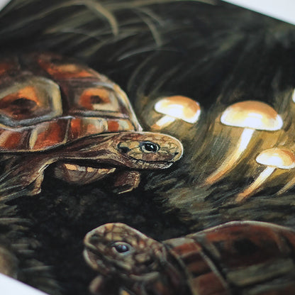 Tortues - Impression d'art