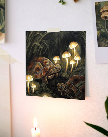 Tortues - Impression d'art